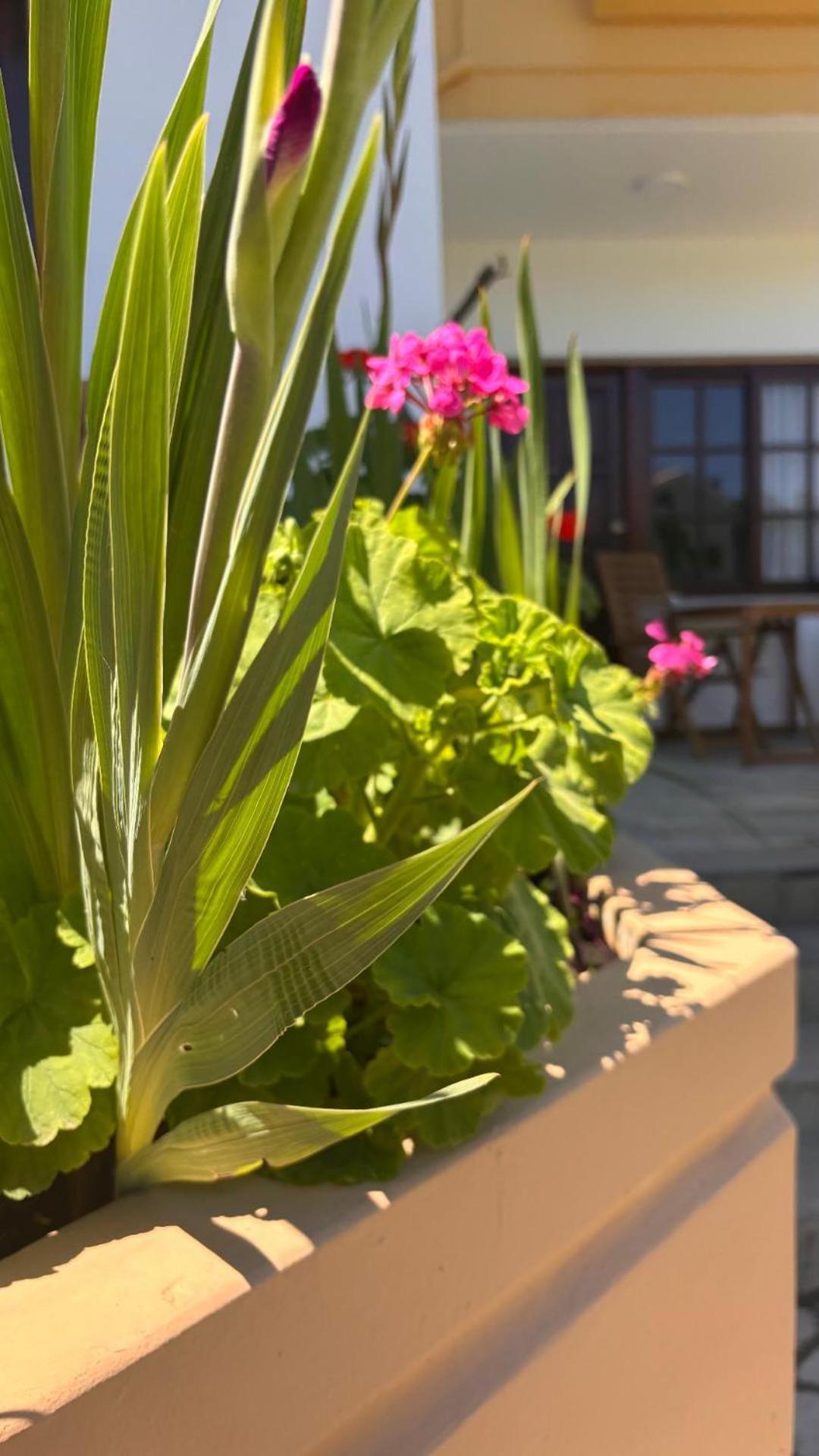 Menelaos Apartments Daratsos Ngoại thất bức ảnh